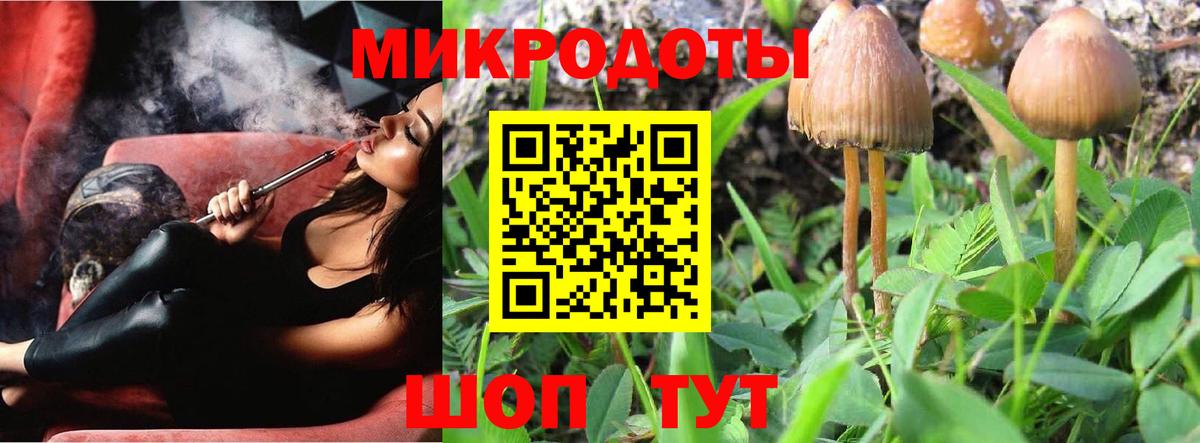 Энгельс  Галлюциногенные грибы мухоморы  Псилоцибиновые грибы мухоморы  Вход с VPN 